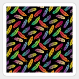 Multi Color Feathers Pattern Magnet